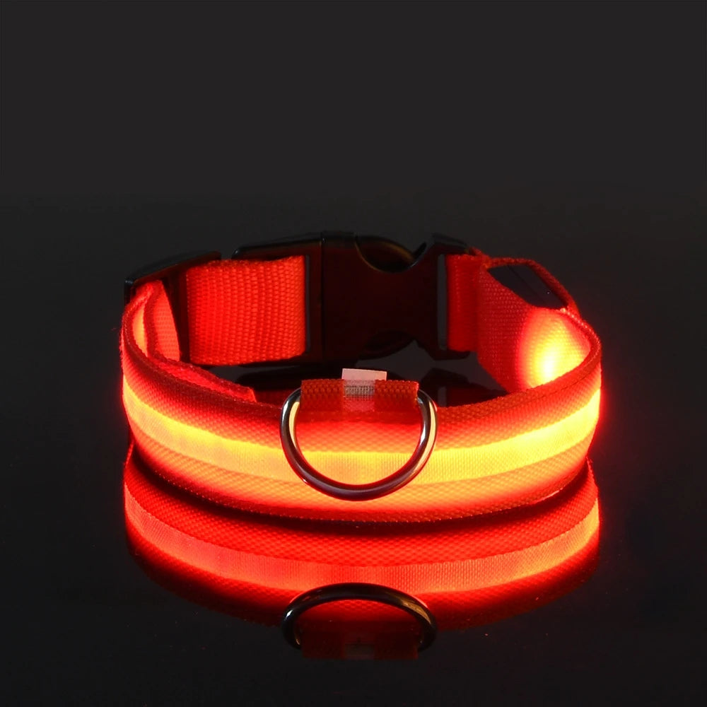 Luminous Safety Dog Leash & Collar