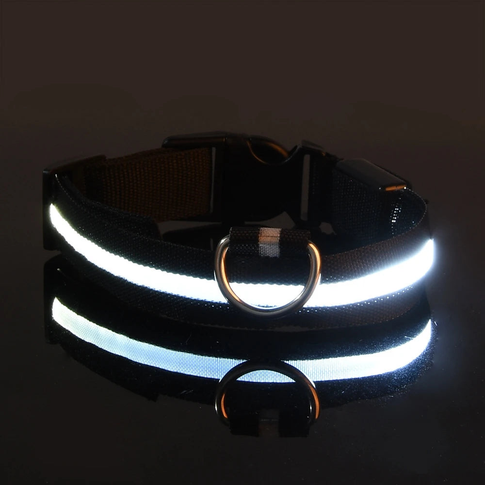 Luminous Safety Dog Leash & Collar