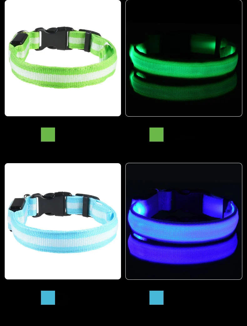Luminous Safety Dog Leash & Collar