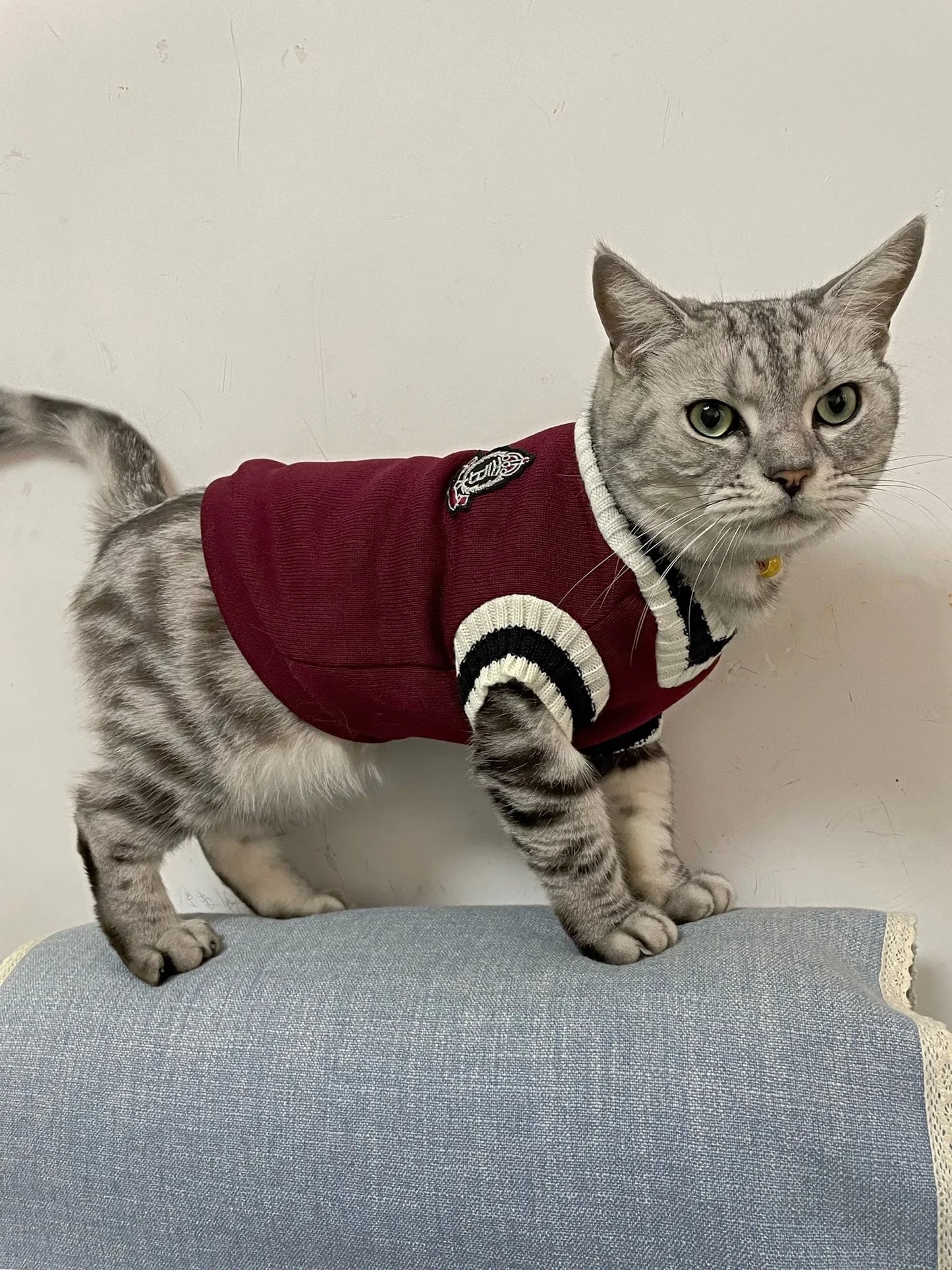 Cozy Couture Pet Sweater