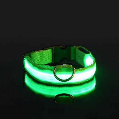 Luminous Safety Dog Leash & Collar