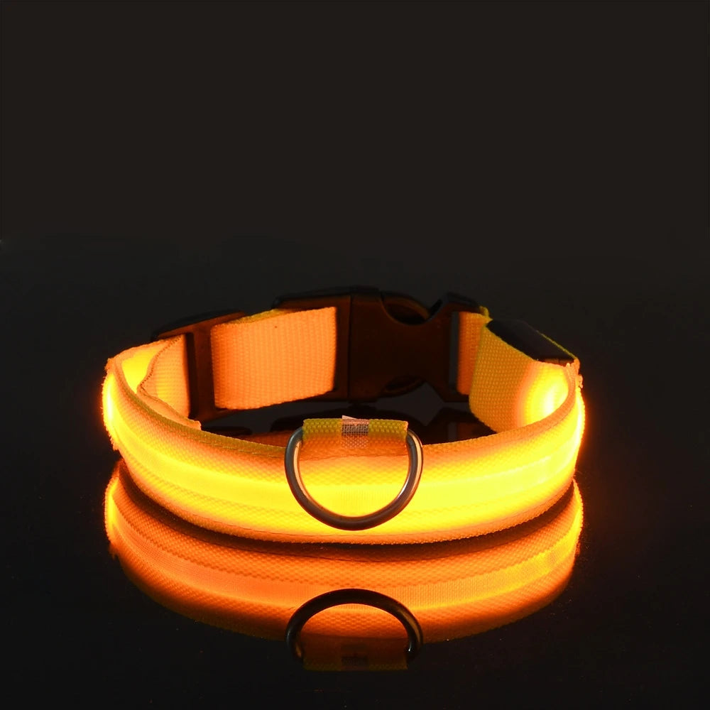 Luminous Safety Dog Leash & Collar