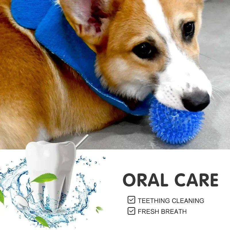 Squeaky Dental Chew Ball