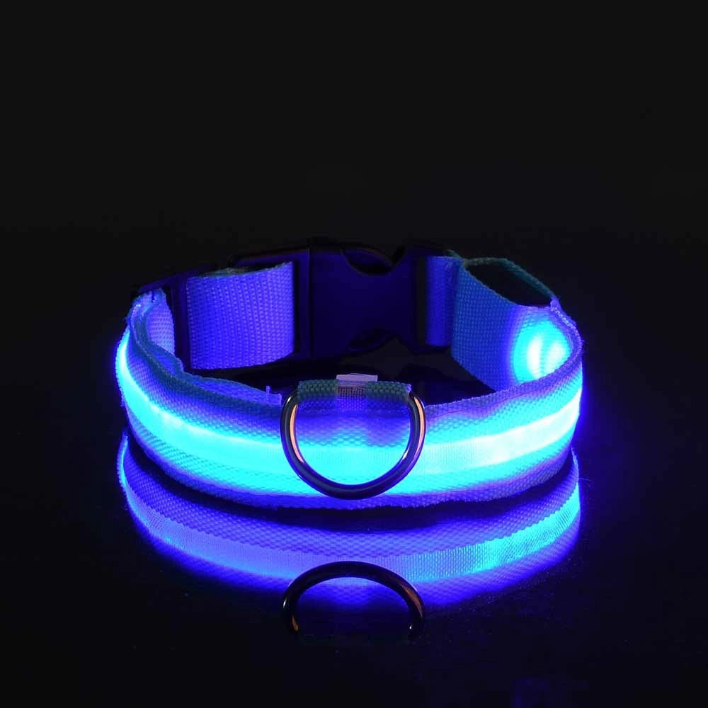 Luminous Safety Dog Leash & Collar