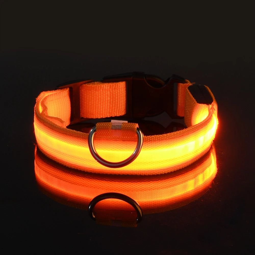 Luminous Safety Dog Leash & Collar