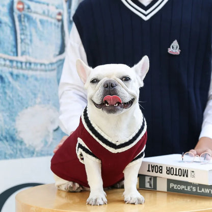 Cozy Couture Pet Sweater