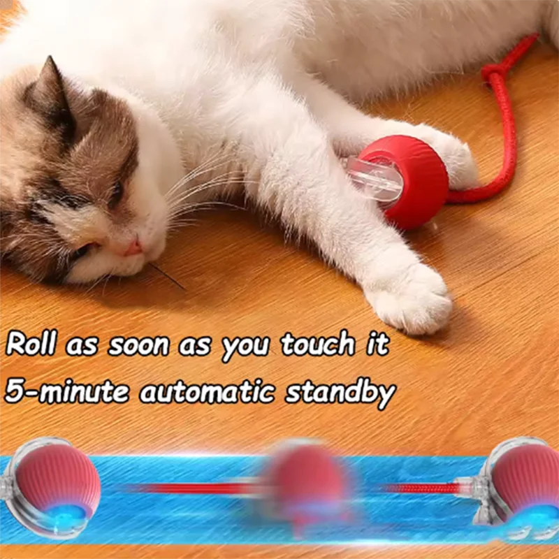 Playful Paws Automatic Cat Toy