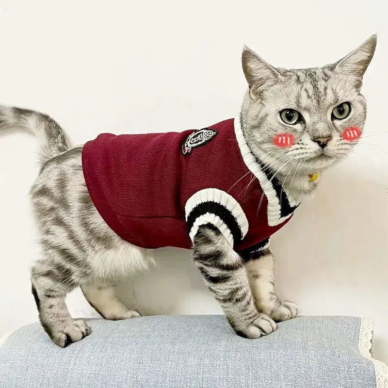 Cozy Couture Pet Sweater