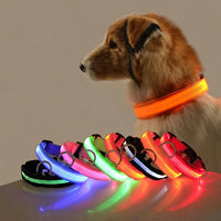 Luminous Safety Dog Leash & Collar