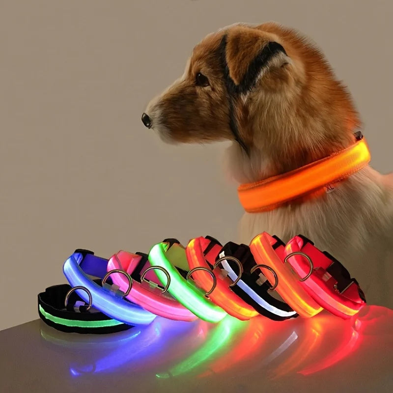 Luminous Safety Dog Leash & Collar