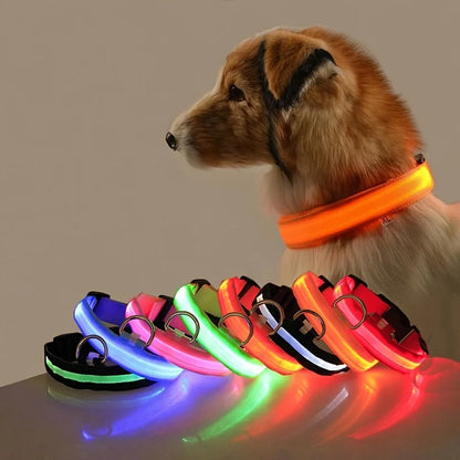 Luminous Safety Dog Leash & Collar