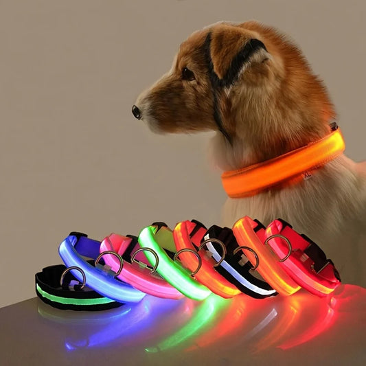Luminous Safety Dog Leash & Collar