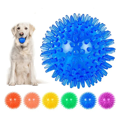 Squeaky Dental Chew Ball
