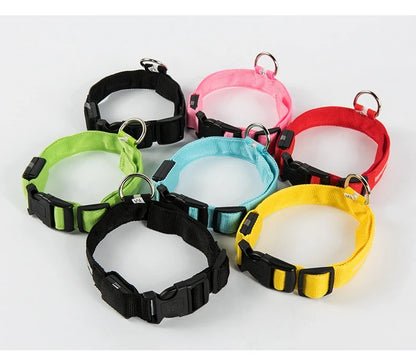 Luminous Safety Dog Leash & Collar