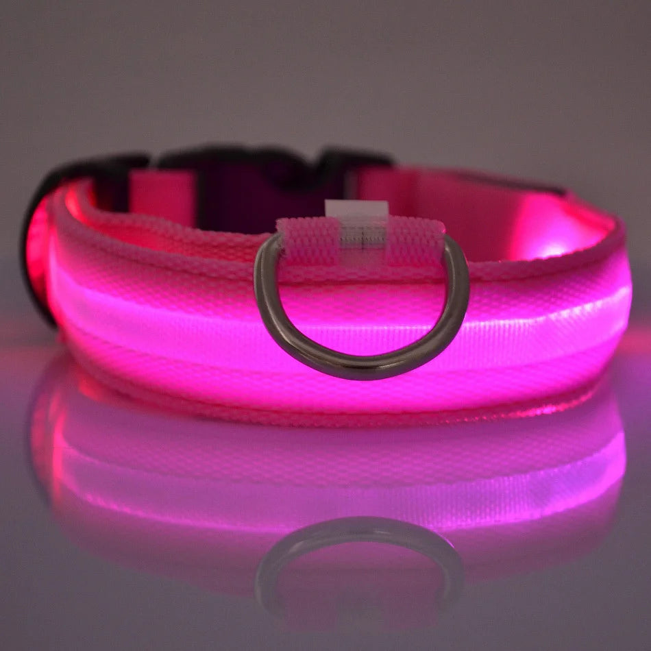 Luminous Safety Dog Leash & Collar