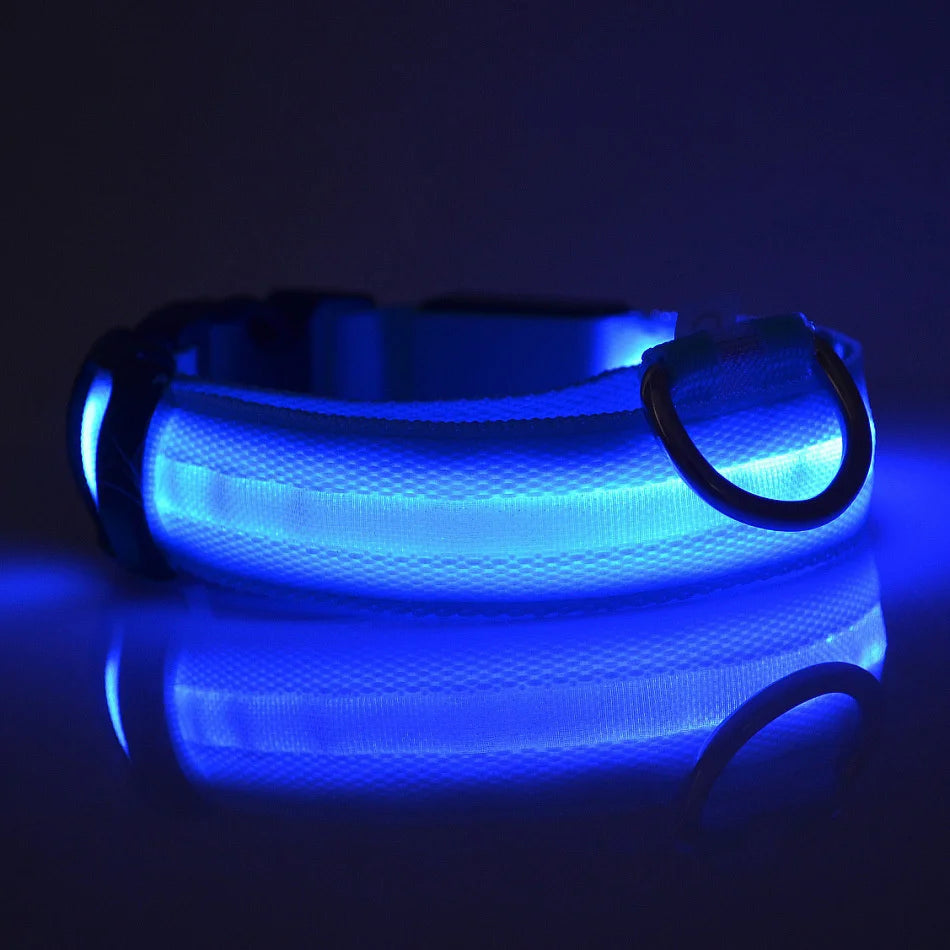 Luminous Safety Dog Leash & Collar