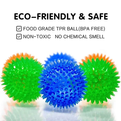 Squeaky Dental Chew Ball