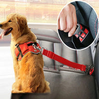 Safe & Secure Pet Car Harness