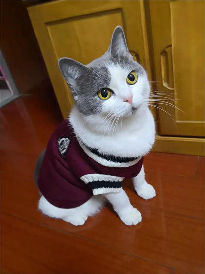 Cozy Couture Pet Sweater