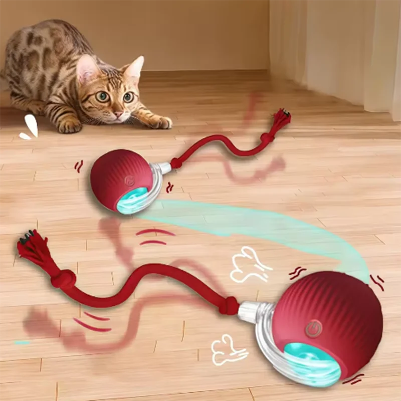 Playful Paws Automatic Cat Toy