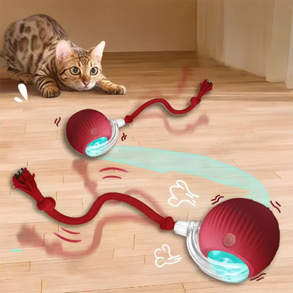 Playful Paws Automatic Cat Toy