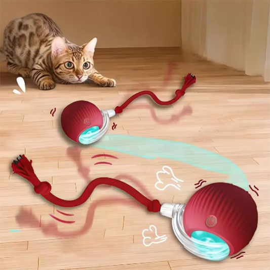 Playful Paws Automatic Cat Toy
