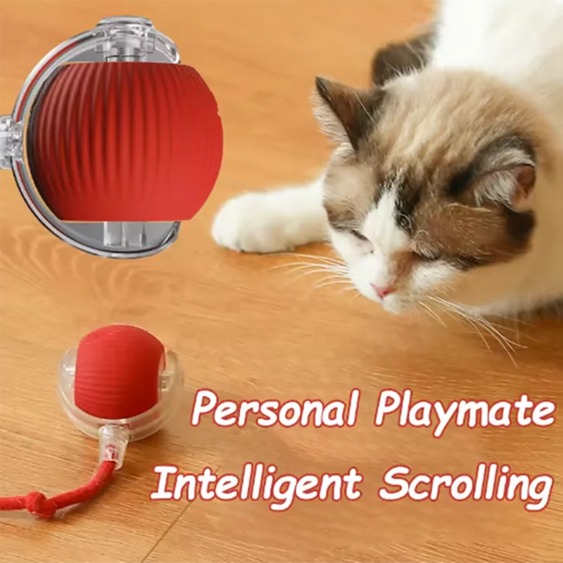 Playful Paws Automatic Cat Toy