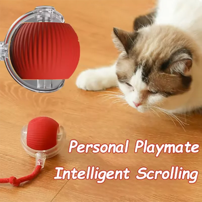 Playful Paws Automatic Cat Toy