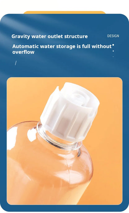 Ergonomic Cat Bowl & Water Feeder