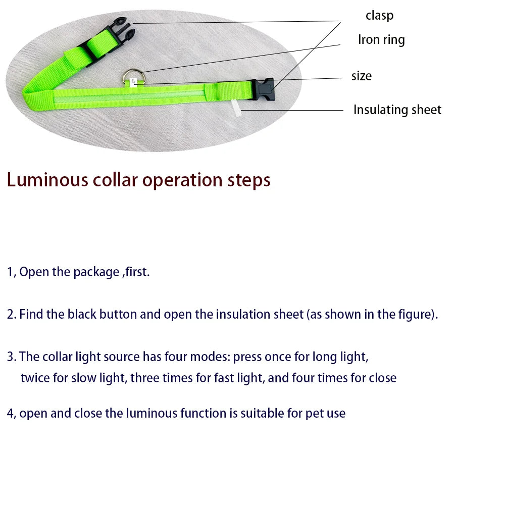 Luminous Safety Dog Leash & Collar