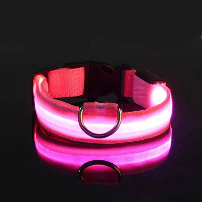 Luminous Safety Dog Leash & Collar