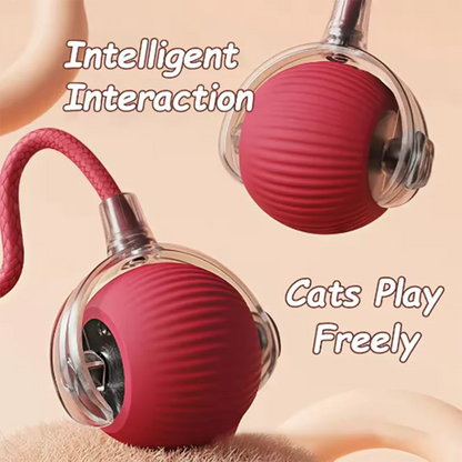 Playful Paws Automatic Cat Toy