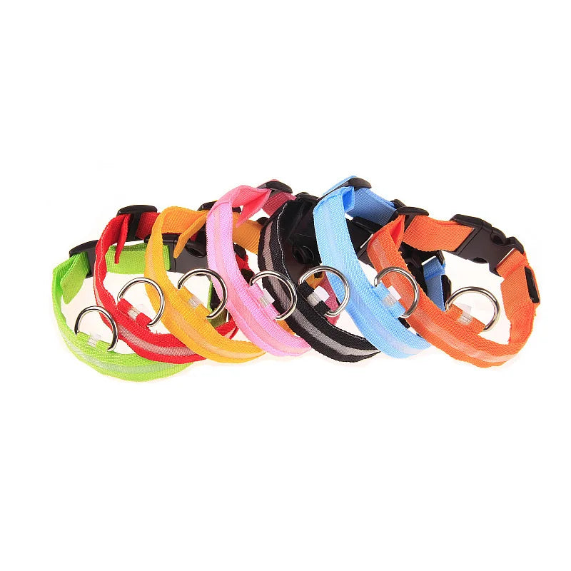 Luminous Safety Dog Leash & Collar