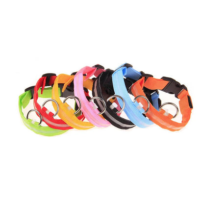 Luminous Safety Dog Leash & Collar