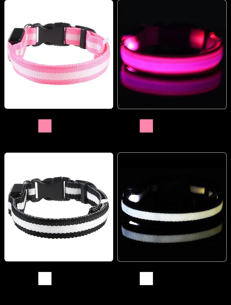 Luminous Safety Dog Leash & Collar