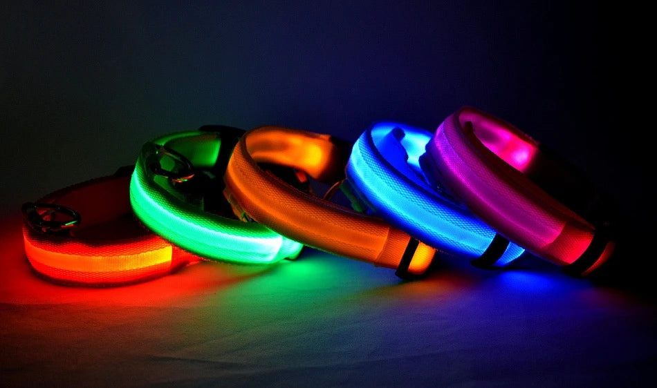 Luminous Safety Dog Leash & Collar