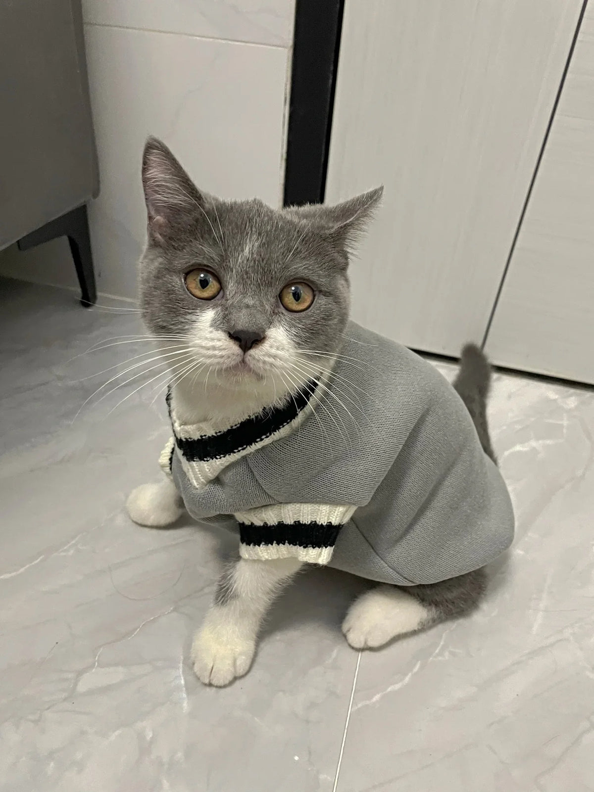 Cozy Couture Pet Sweater