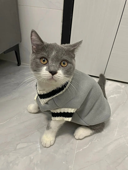 Cozy Couture Pet Sweater