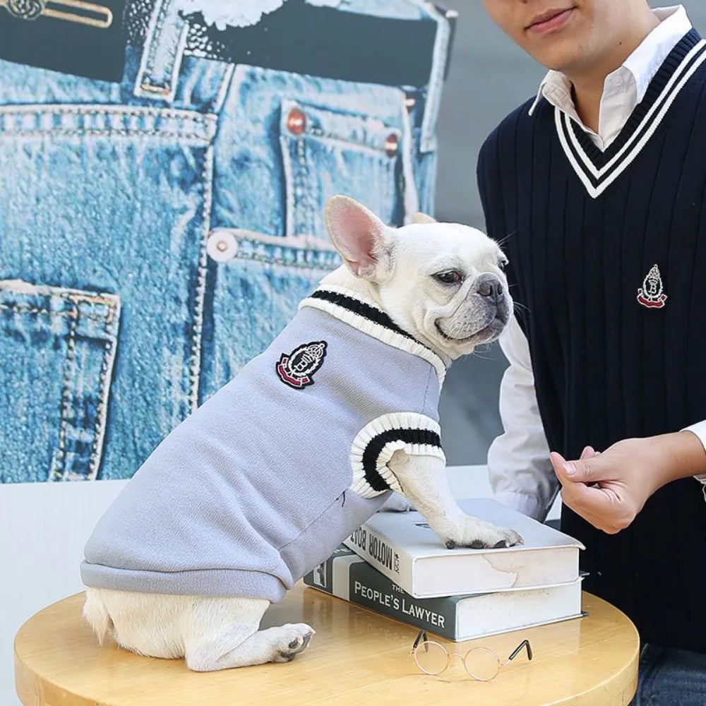 Cozy Couture Pet Sweater
